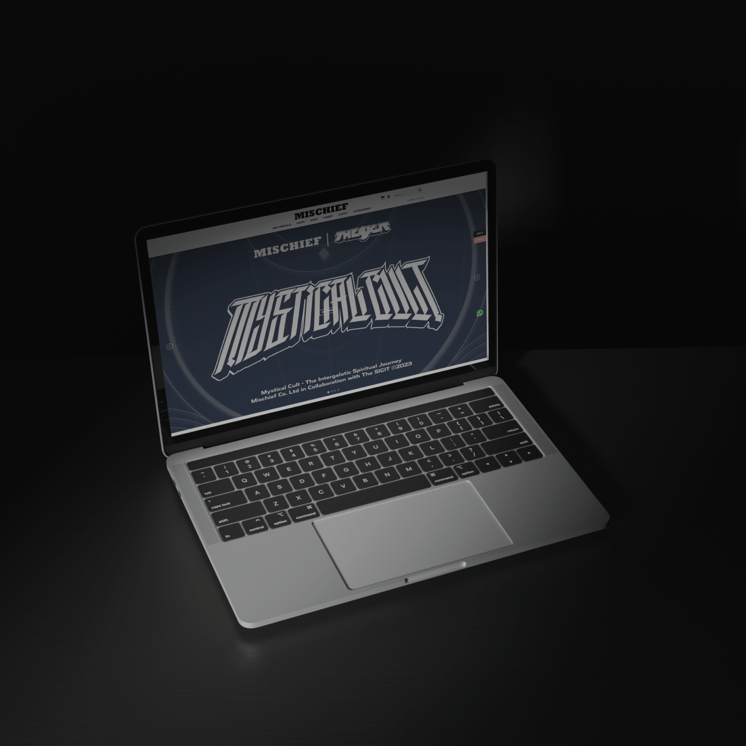 Portfolio Image
