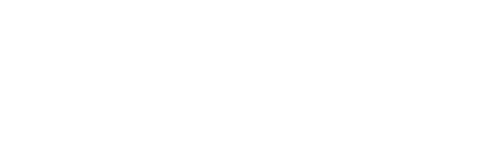 WIT.ID